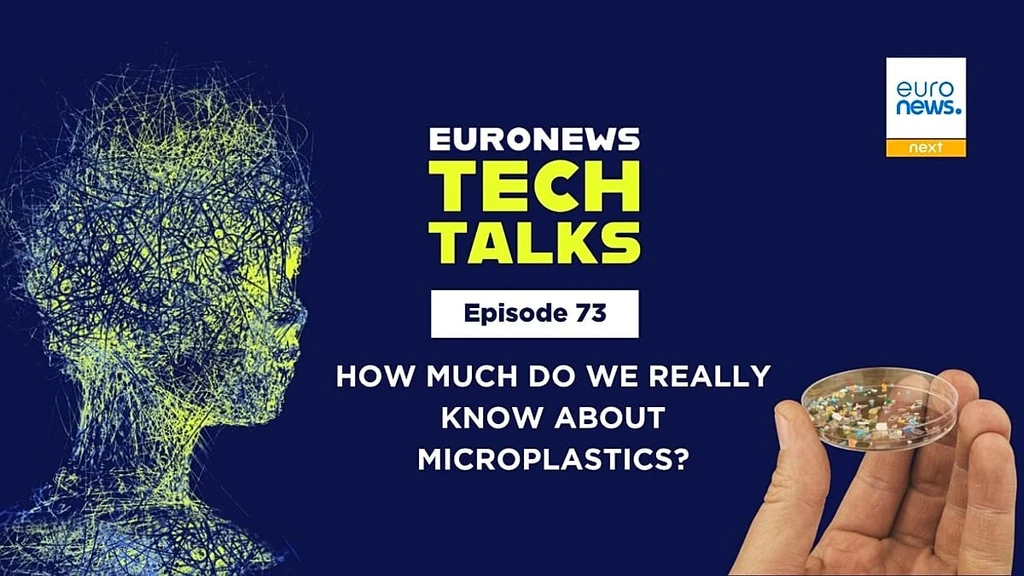 Microplastics: The Known and Unknown Health and Environmental Risks
