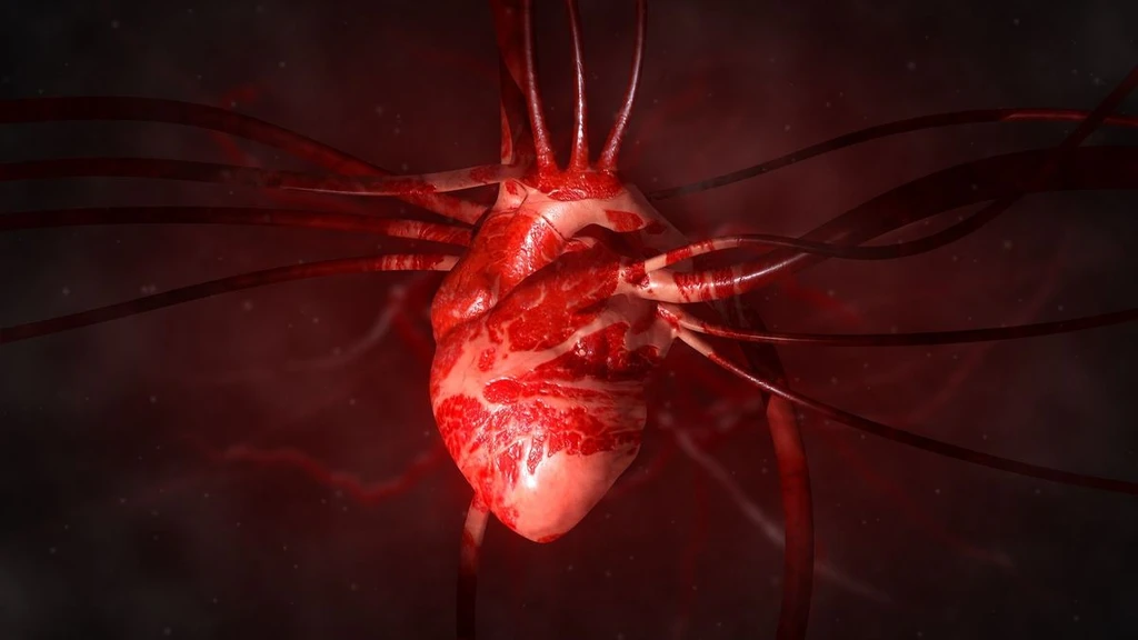 Single Injection Heals Heart Tissue in Mammals, Study Shows