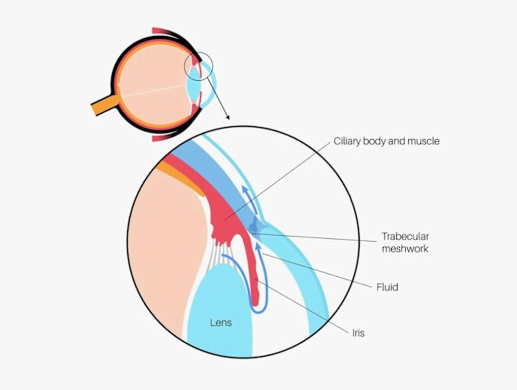 - Figure 1 - 