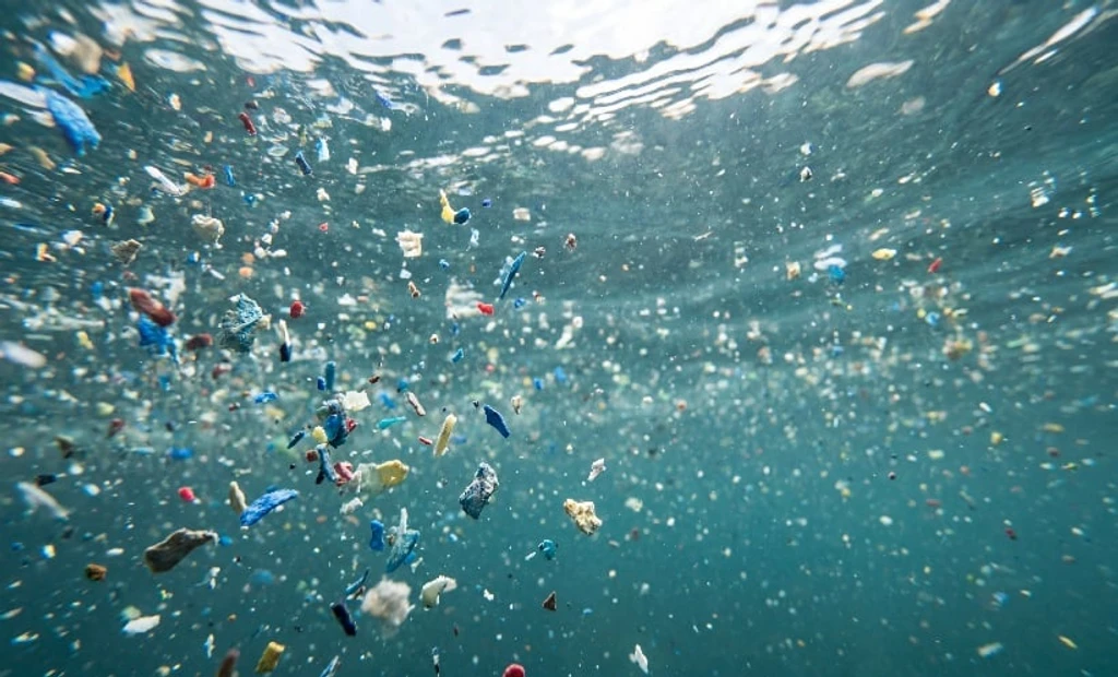 Microplastics Linked to Higher Stroke, Diabetes, and Hypertension Rates