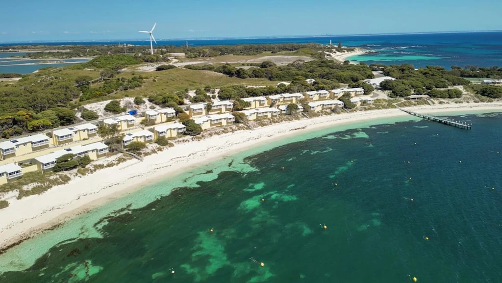 Fatal Great White Shark Attack off Western Australia Coast