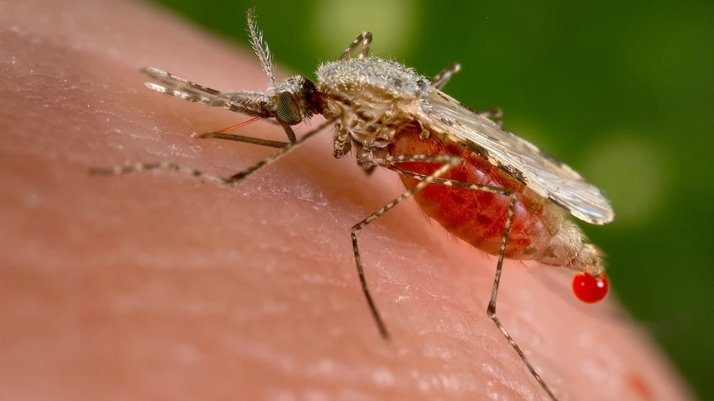 New Protein Discovery Offers Powerful New Weapon Against Malaria