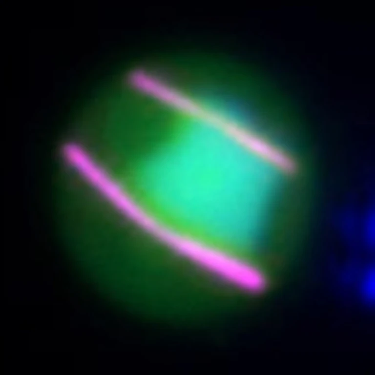 - Figure 1 - 