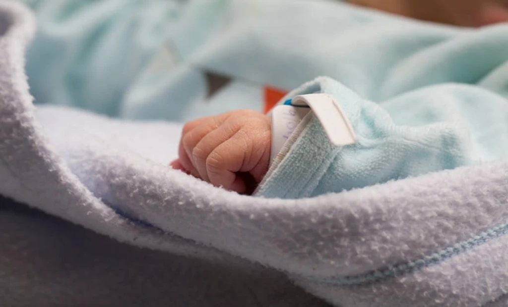 Movement Quality Assessment Enhances Early Detection of Motor Issues in Preterm Infants