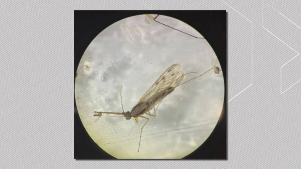 - Figure 1 -