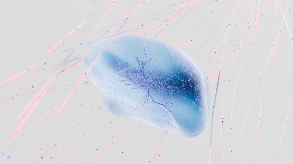 Neuroscience Explains Why Some People Need Solitude After Socializing