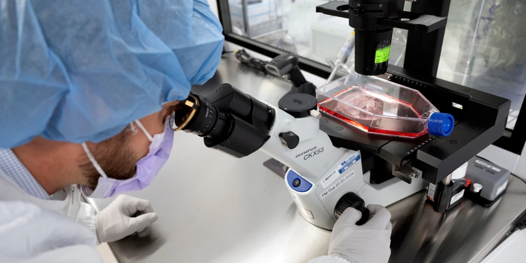 Targeted Chemotherapy System Delivers Drugs Directly to Tumors, Sparing Healthy Cells