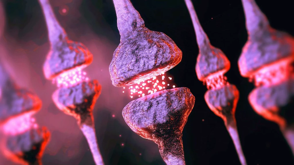 Brain's Aging 'Garbage Disposal' Linked to Alzheimer's Risk
