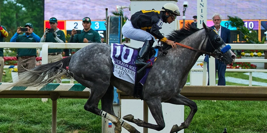 Napoleon Solo Triumphs at the 151st Preakness Stakes