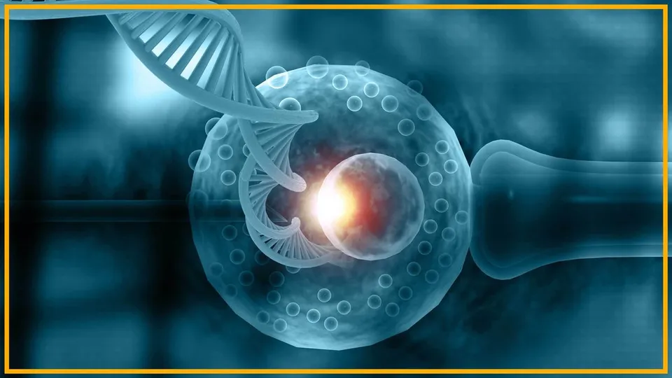 Embryo Selection Tech: A Genetic Gamble Demanding Urgent Regulation