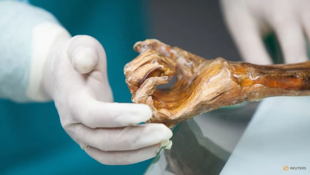 Ötzi the Iceman: A 5,300-Year-Old Dynamic Ecosystem