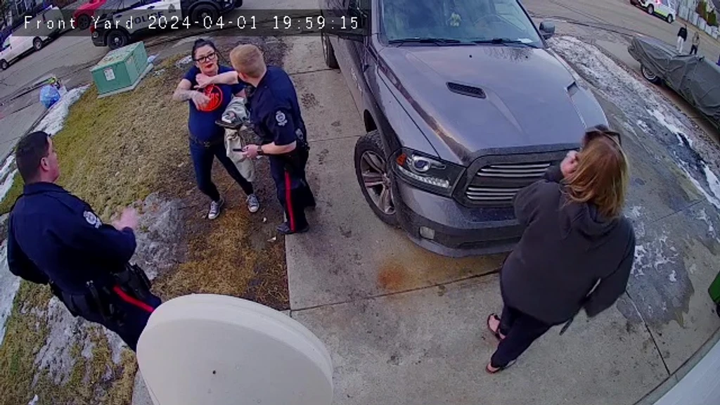 Edmonton Dog Owner Admits Training Was Planned Before Fatal Attack on Boy
