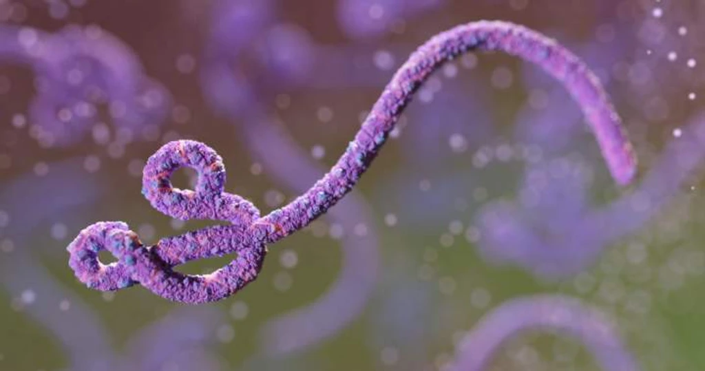 Ontario Investigates Possible Ebola Case After Travel to East Africa
