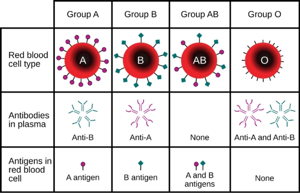 - Figure 1 - 