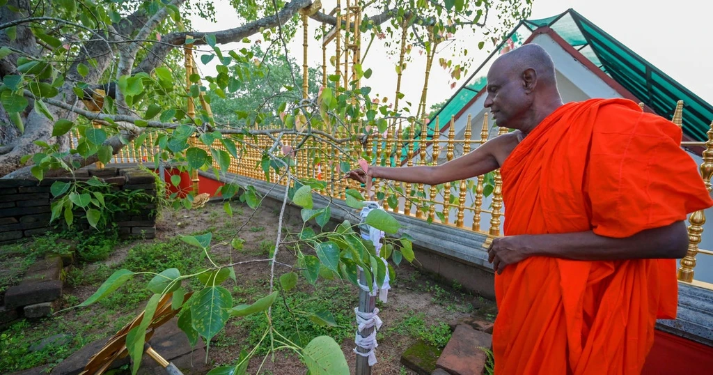 Senior Buddhist Monk Arrested in Sri Lanka for Alleged Child Sexual Abuse