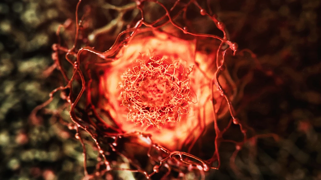 Popular Anti-Aging Compound Linked to Cancer Growth
