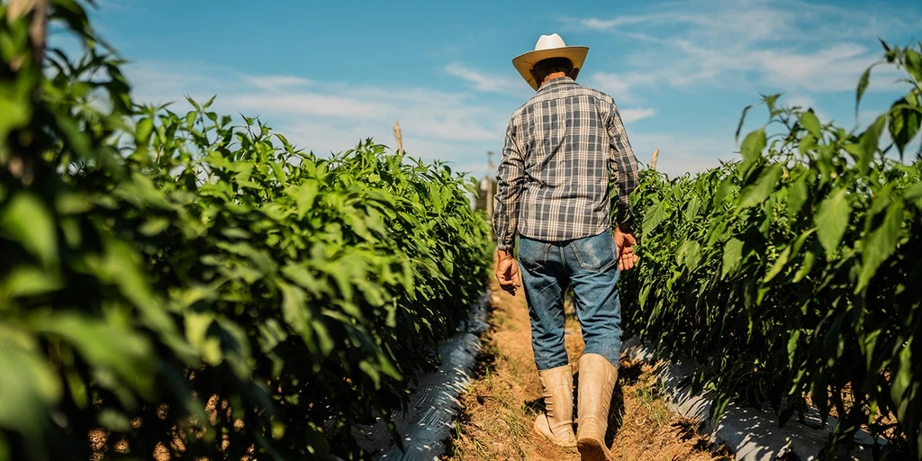Pesticide linked to increased Parkinson's risk, study finds