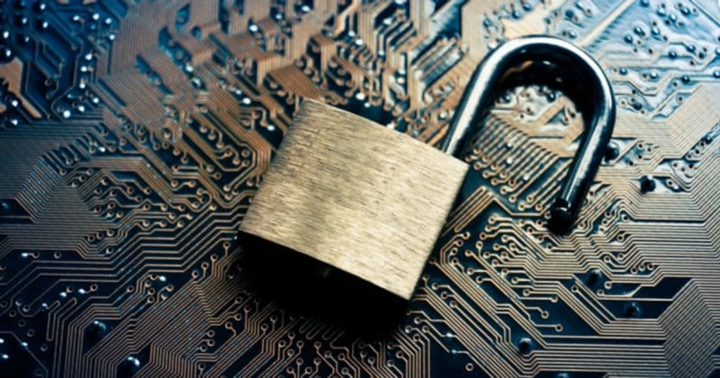 DeFi Protocol Purrlend Loses $1.5M in Multi-Network Exploit