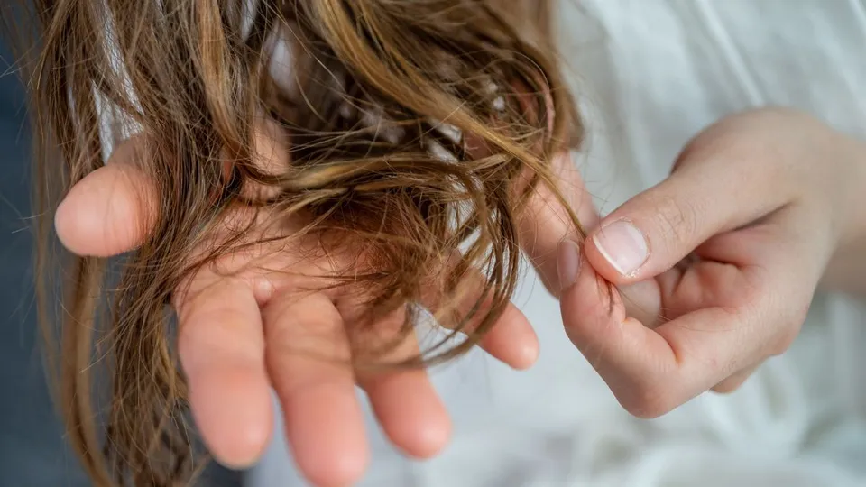 Parkinson's Disease May Be Detectable in Hair Samples, New Study Suggests