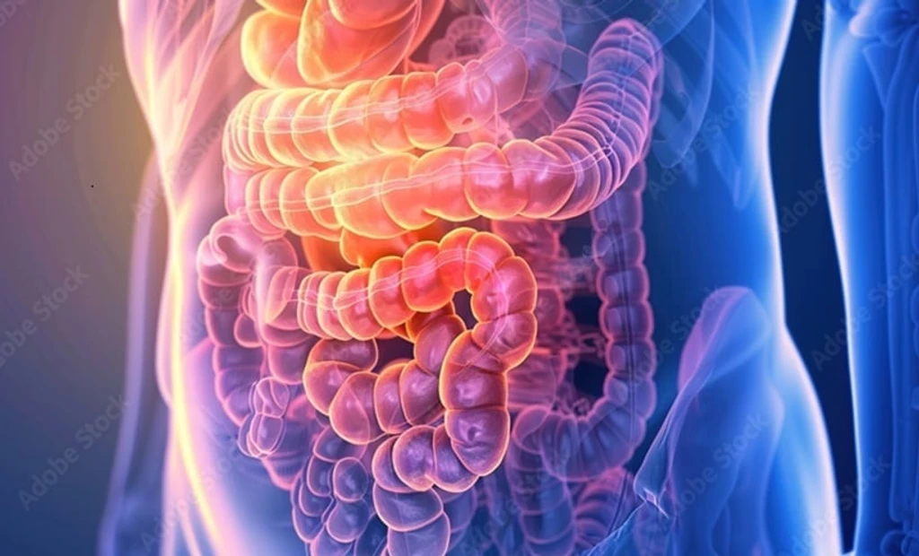 Paediatric Bowel Disease Surges Nearly 300% in Four Decades