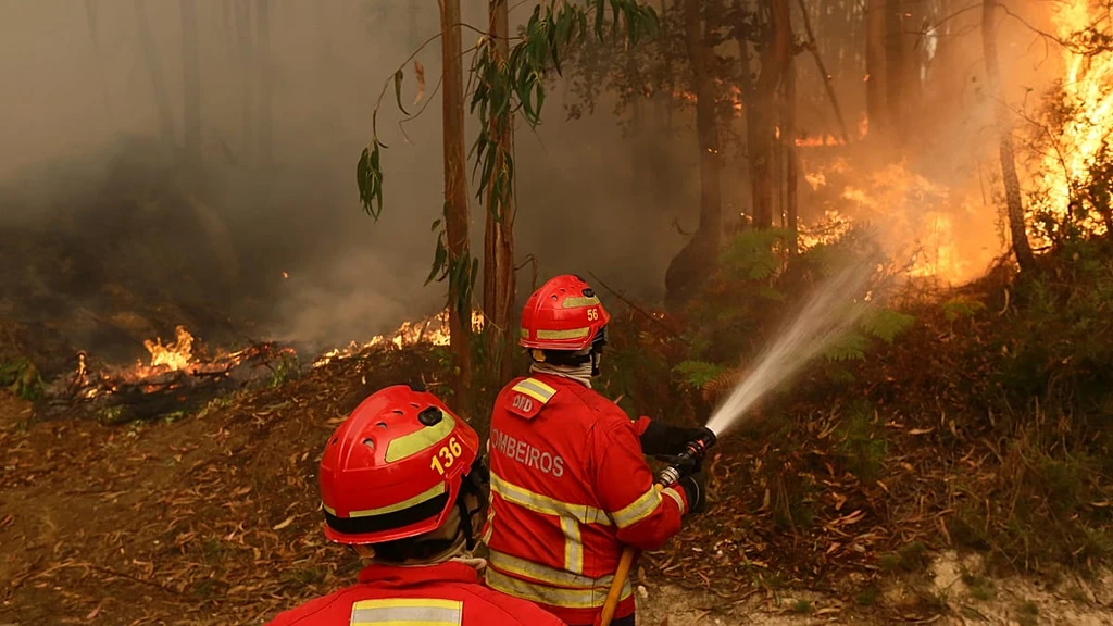 Spain, Italy Send Firefighting Aid to Battle Portugal's Massive Wildfires