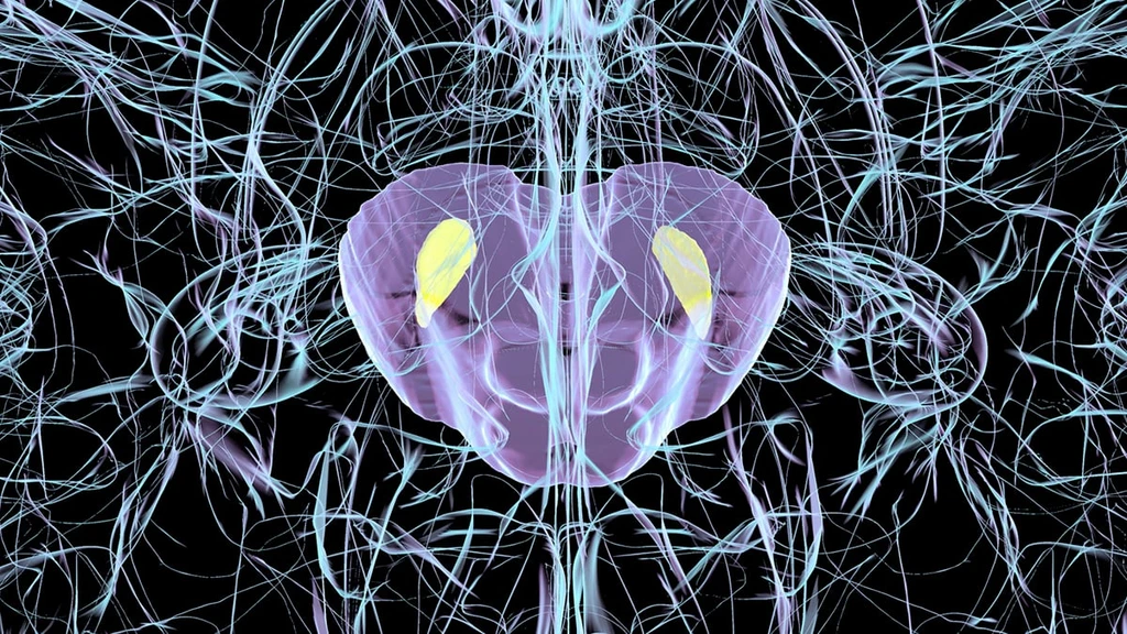 New Mouse Model Links Common Virus to Parkinson's-Like Damage