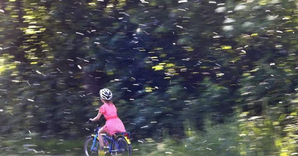 Seasonal Allergies Worsening as Pollen Levels Double Across Canada