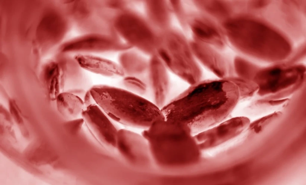 Altitude's Secret: Red Blood Cells as a New Diabetes Solution