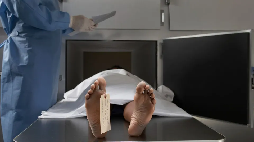 Rigor Mortis: Understanding the Science of Post-Death Stiffening