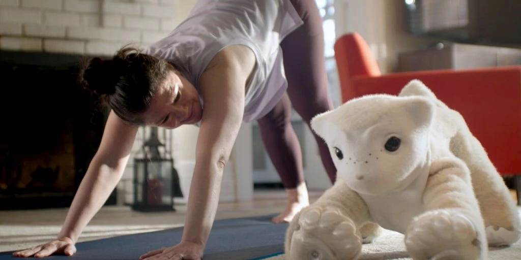 Roomba Creator Unveils AI Pet Robot That Learns Your Emotions