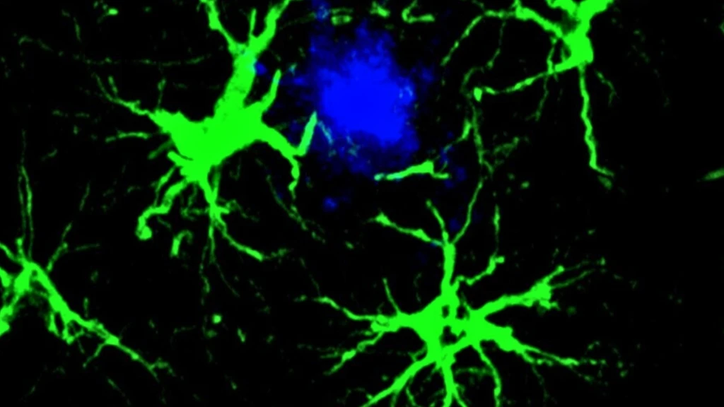 Engineered Brain Cells Slash Alzheimer's Plaques by 50% in Mice