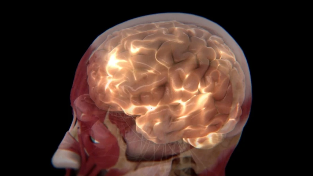 Breakthrough Study Identifies Two Distinct Biological Subtypes of Autism