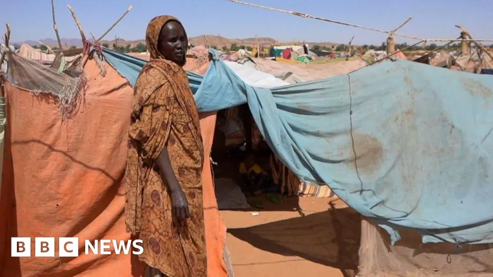 UN Finds Genocide Hallmarks in Sudan's El-Fasher Atrocities
