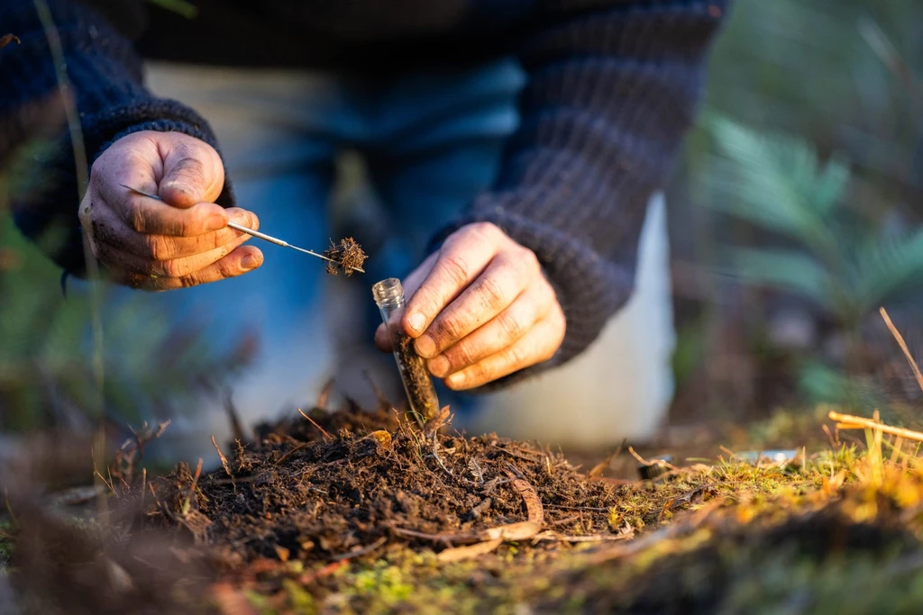 Master Lawn Soil Sampling in 5 Steps