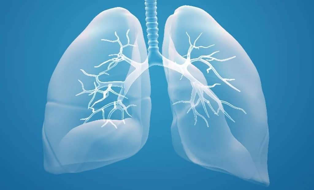 Low-Field MRI Shows Promise for Radiation-Free Sarcoidosis Monitoring