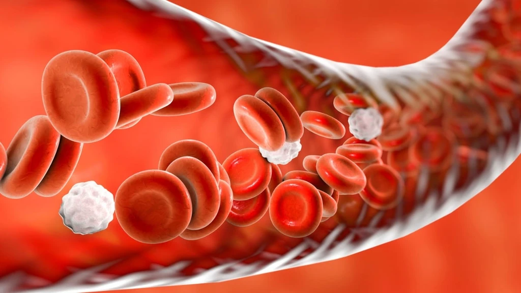 Scientists Uncover Brain Region Linked to High Blood Pressure, Hinting at New Treatment
