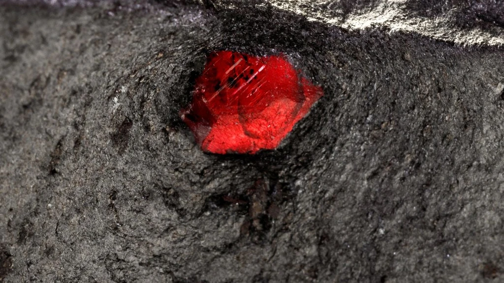First Garnet Discovery in Mars Meteorite Challenges Planetary Geology Models