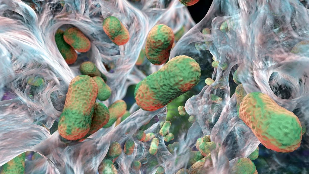 Breakthrough in Fighting Superbugs Through Sugar Targeting