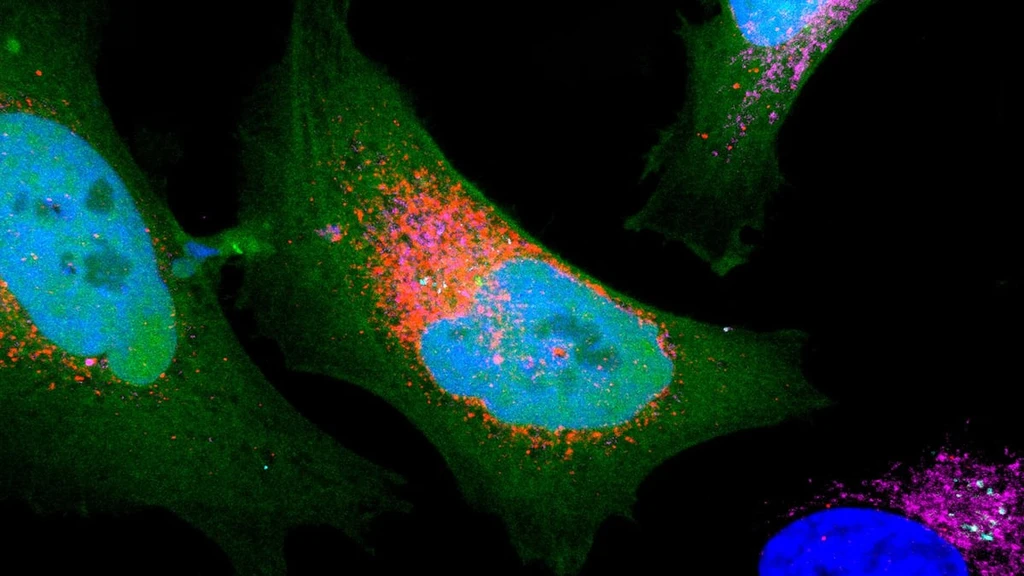 Scientists Uncover Over 1,700 'Dark' Proteins Hidden in Human Cells