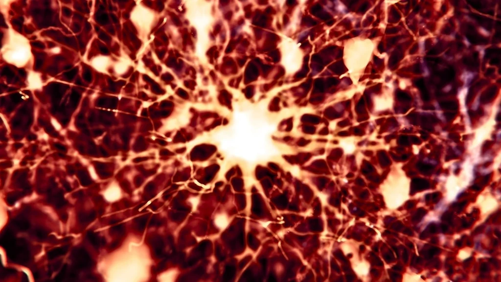 Two Existing Cancer Drugs Reverse Alzheimer's Brain Damage in Mice