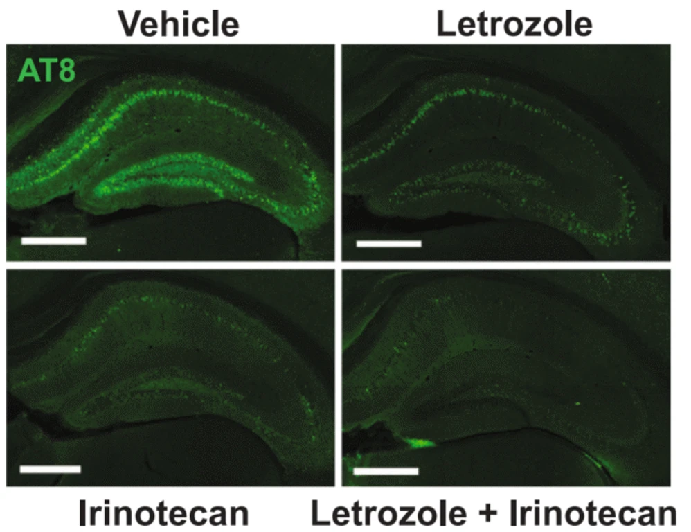 - Figure 1 -