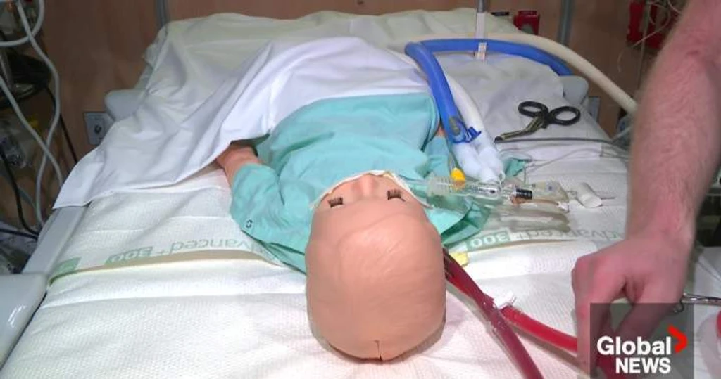 Stollery Children's Hospital ECMO Program Earns Global Excellence Award