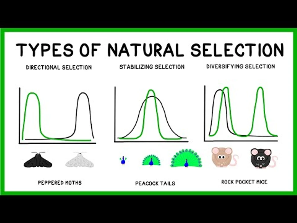 - Figure 1 -