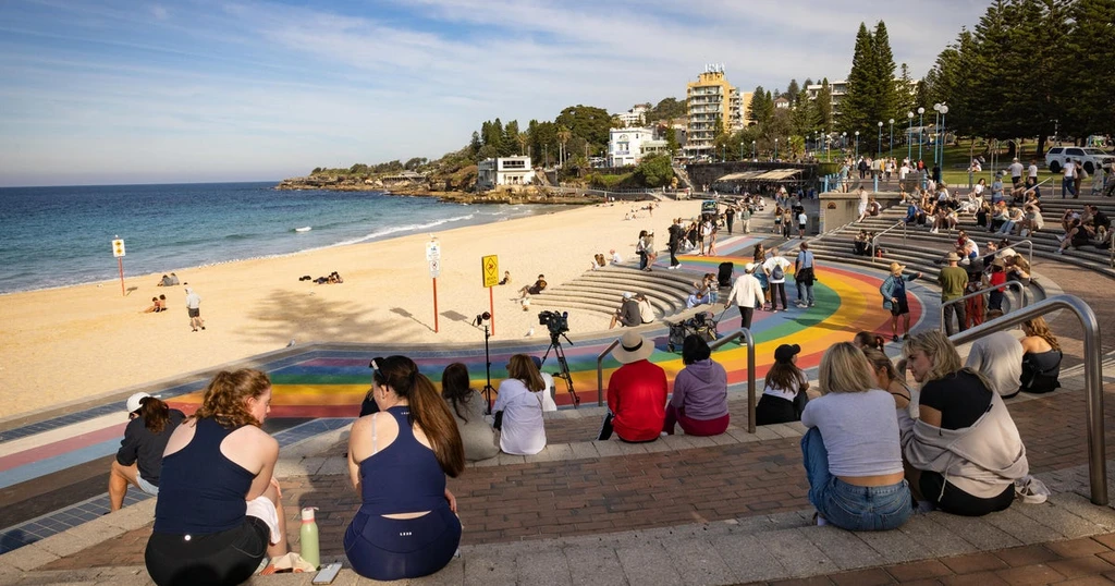 Lifeguards Rescue Woman Critically Injured in Sydney White Shark Attack