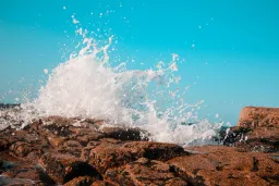 Altcoin Market Plunges: Over 40% Hit Rock Bottom, Worse Than Last Crash