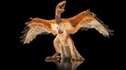 Feathered Fossil Discovery Confirms Birds Evolved from Dinosaurs