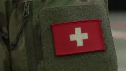 Swiss Army Chief: Nation Lacks Drone Defense Capabilities