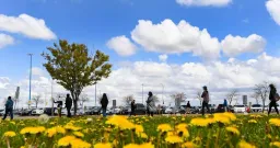 Climate Change Intensifies Allergy Seasons Across Canada, Experts Warn