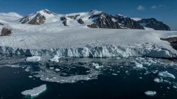 Robots Reveal Why Antarctic Sea Ice Suddenly Began Shrinking