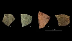 60,000-Year-Old Engravings Reveal Ancient Geometry